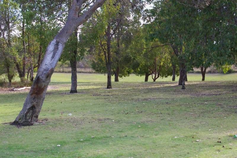 6 Polyantha Gardens, MIRRABOOKA WA 6061, Mirrabooka - Thumbnail 3