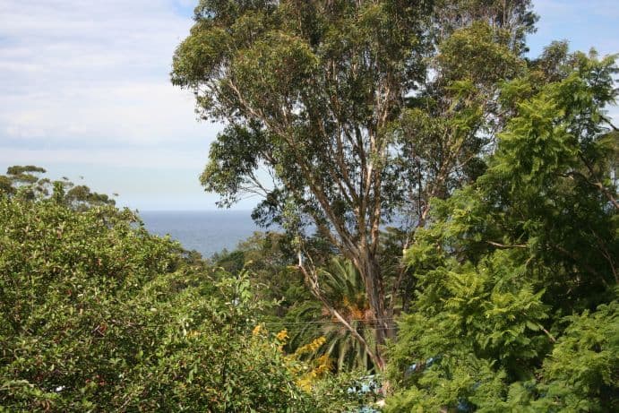 6 Balfour Road, AUSTINMER NSW 2515, Austinmer - Thumbnail 3