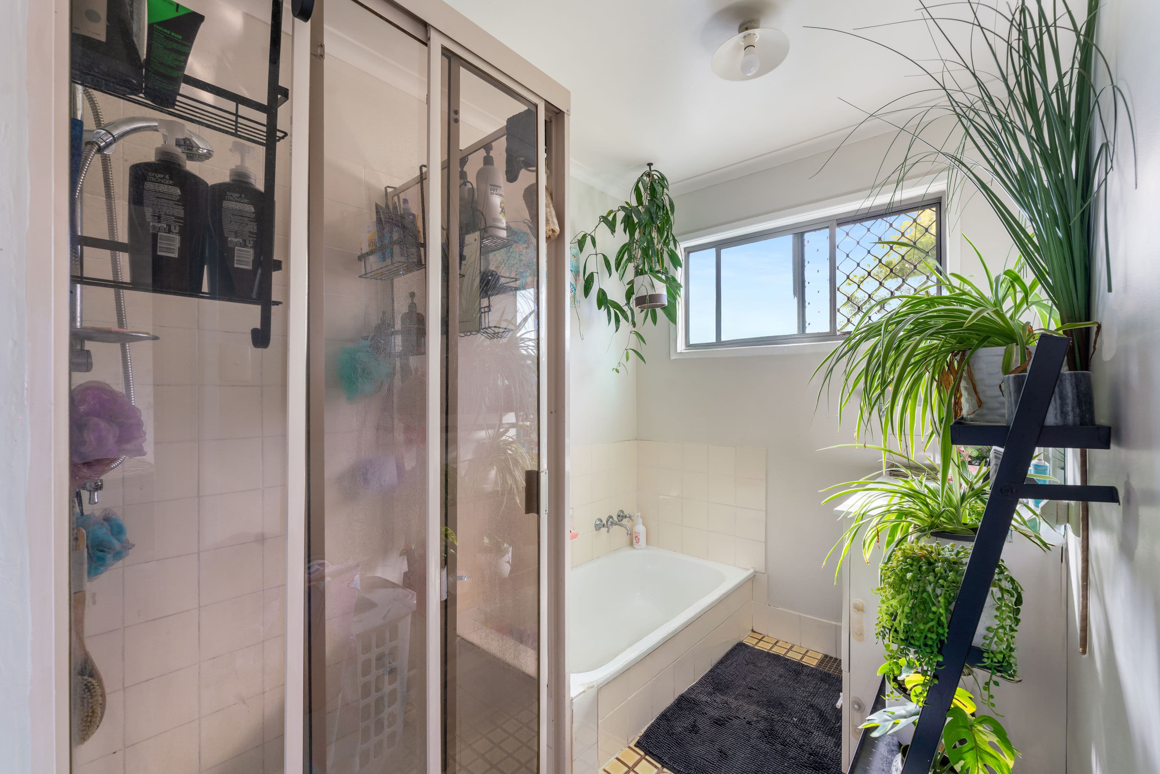 27 Beelong Street, Crestmead QLD 4132, Crestmead - Thumbnail 3