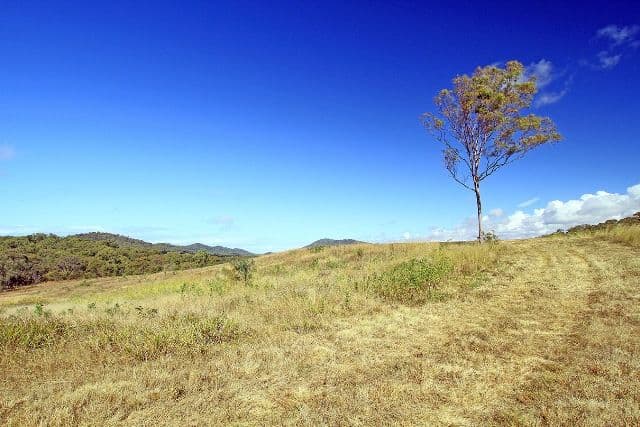 Lot 3 Woodbine Road, Bungundarra QLD 4703, Bungundarra - Thumbnail 5