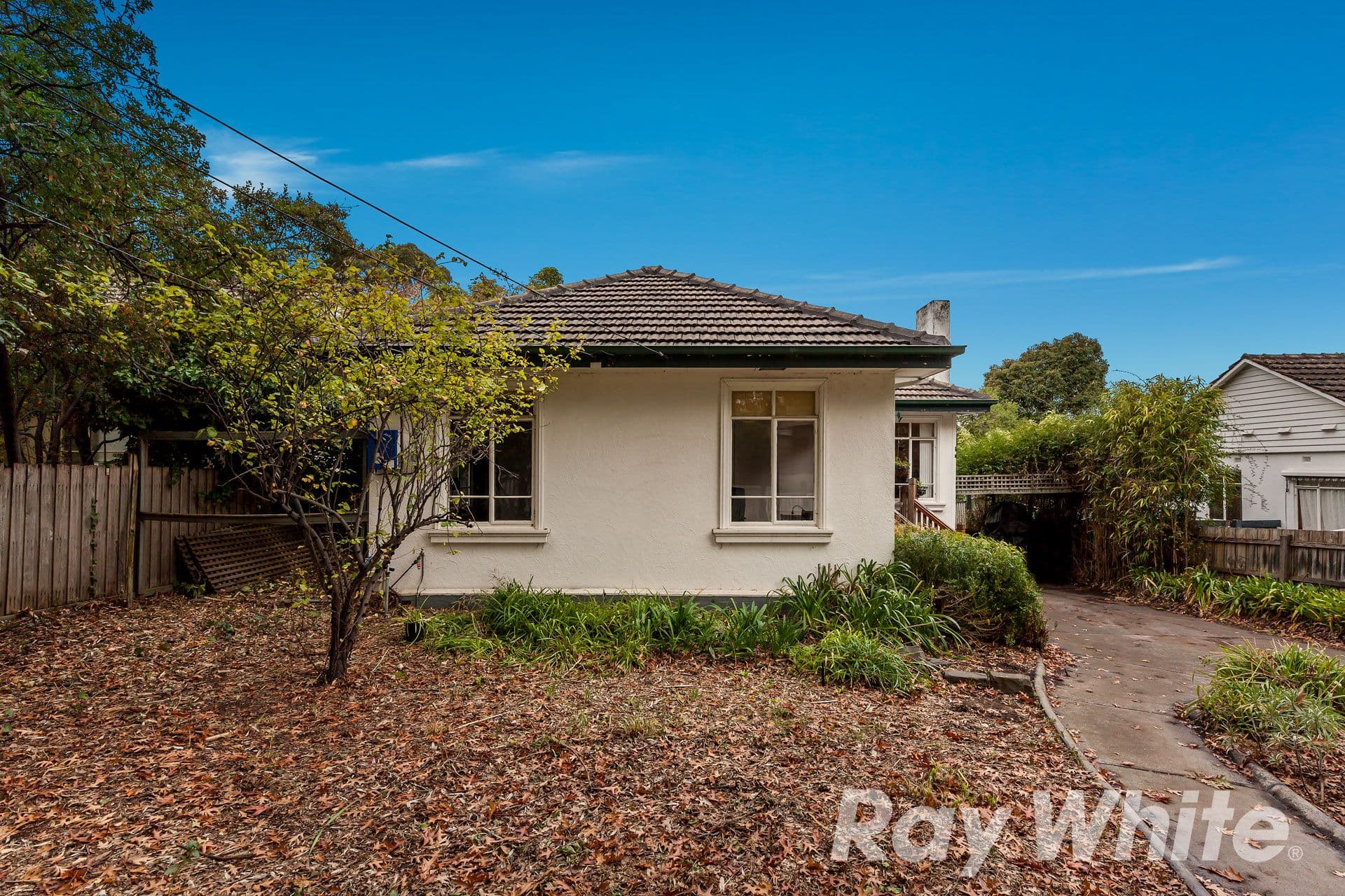 38 Grandview Road, Box Hill South VIC 3128, Box Hill South - Thumbnail 3
