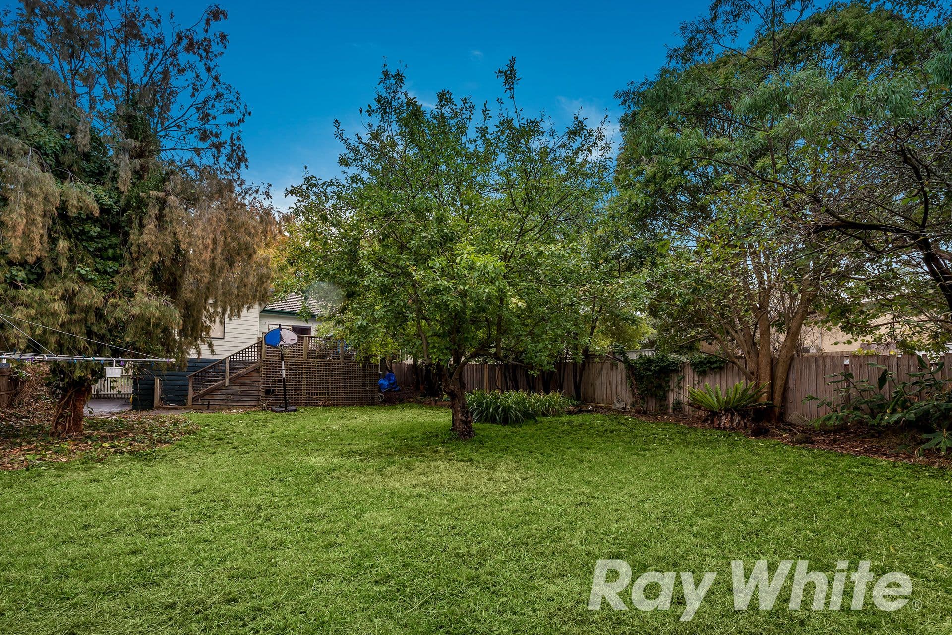 38 Grandview Road, Box Hill South VIC 3128, Box Hill South - Thumbnail 4