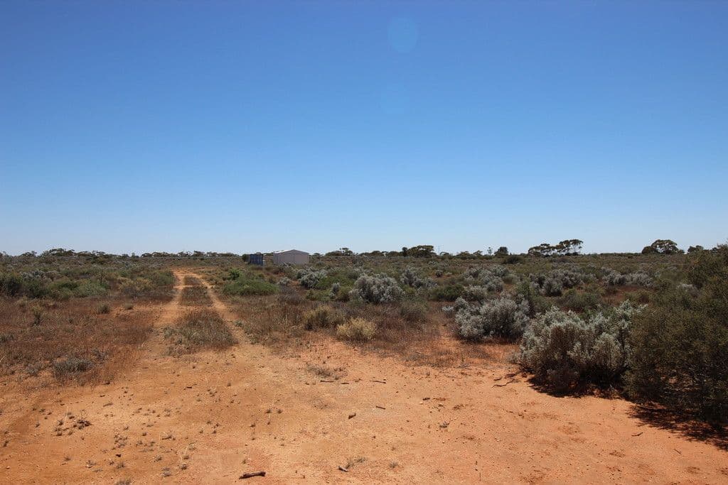 56 Ring Road, Morgan SA 5320, Morgan - Thumbnail 2