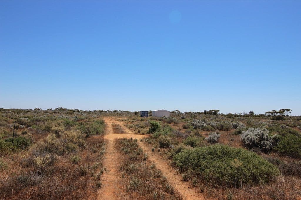 56 Ring Road, Morgan SA 5320, Morgan - Thumbnail 3
