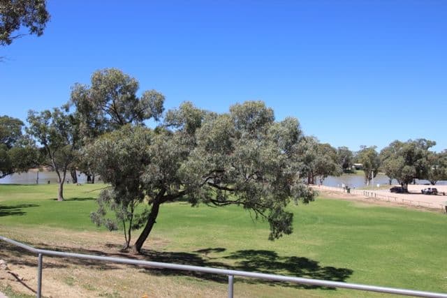 56 Ring Road, Morgan SA 5320, Morgan - Thumbnail 8