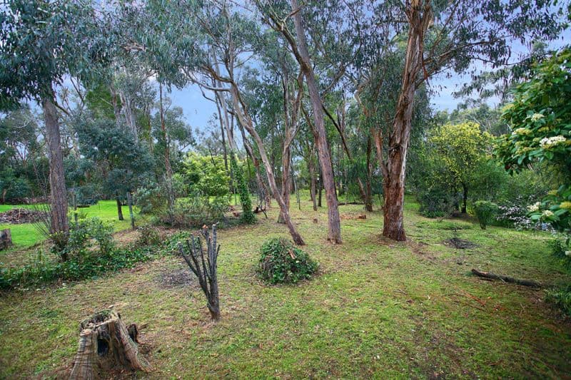 50 William Street, Goodna, QLD, 4300, Goodna - Thumbnail 7