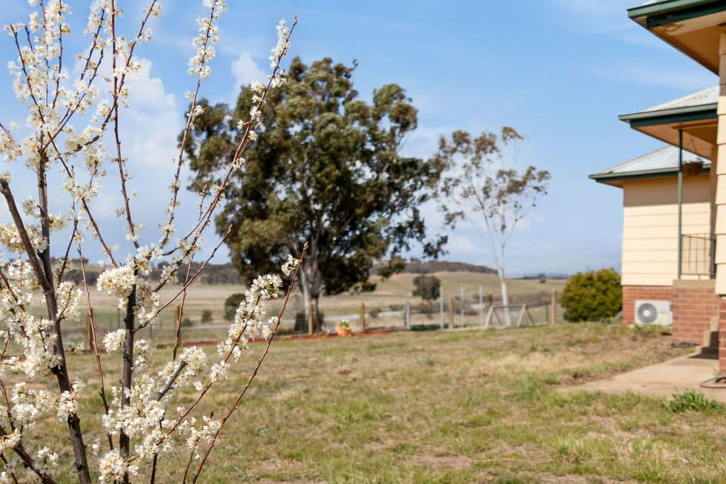 30 Flacknell Creek Road, Dalton NSW 2581, Dalton - Thumbnail 8