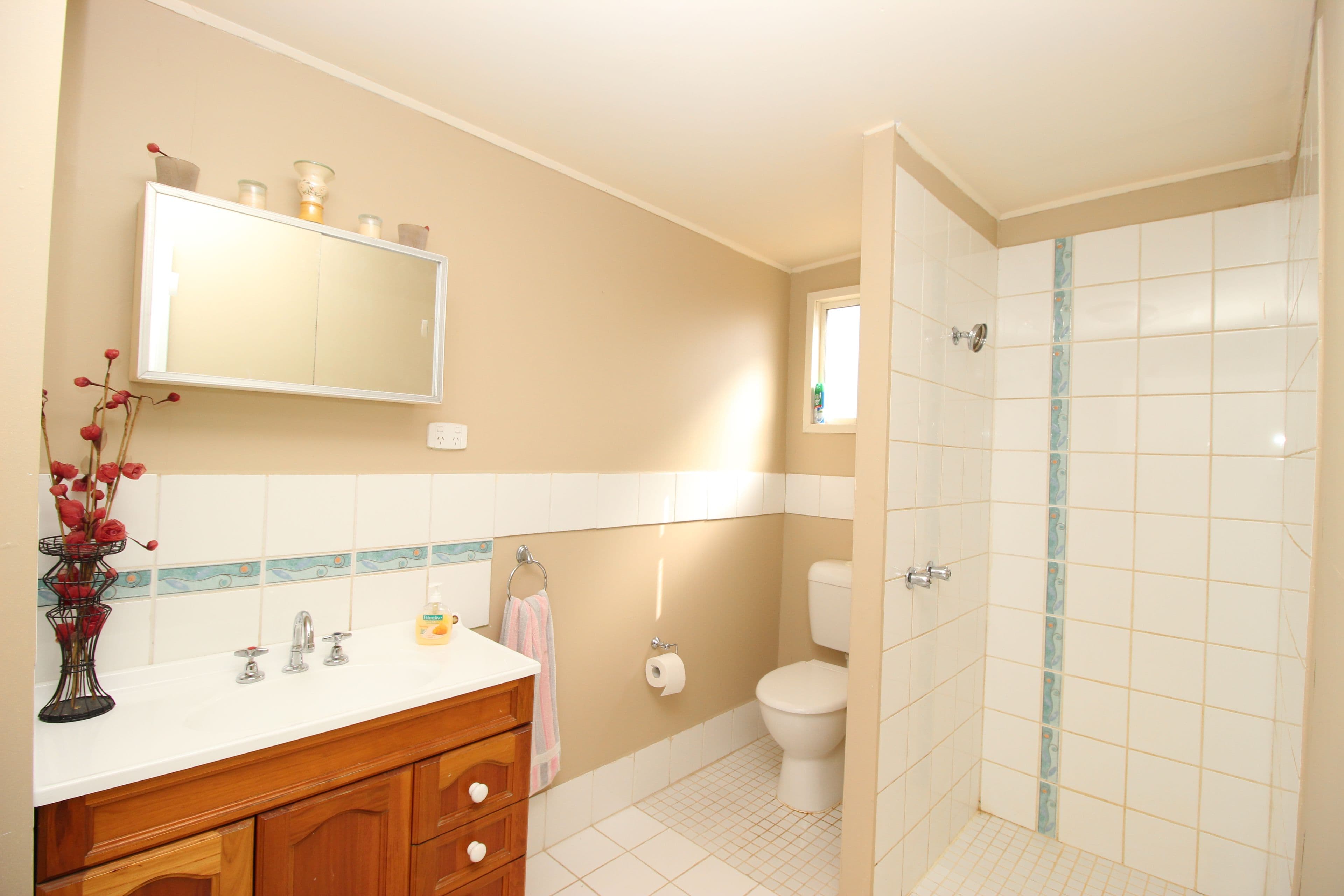 283 Playford Road, Waikerie SA 5330, Waikerie - Thumbnail 5