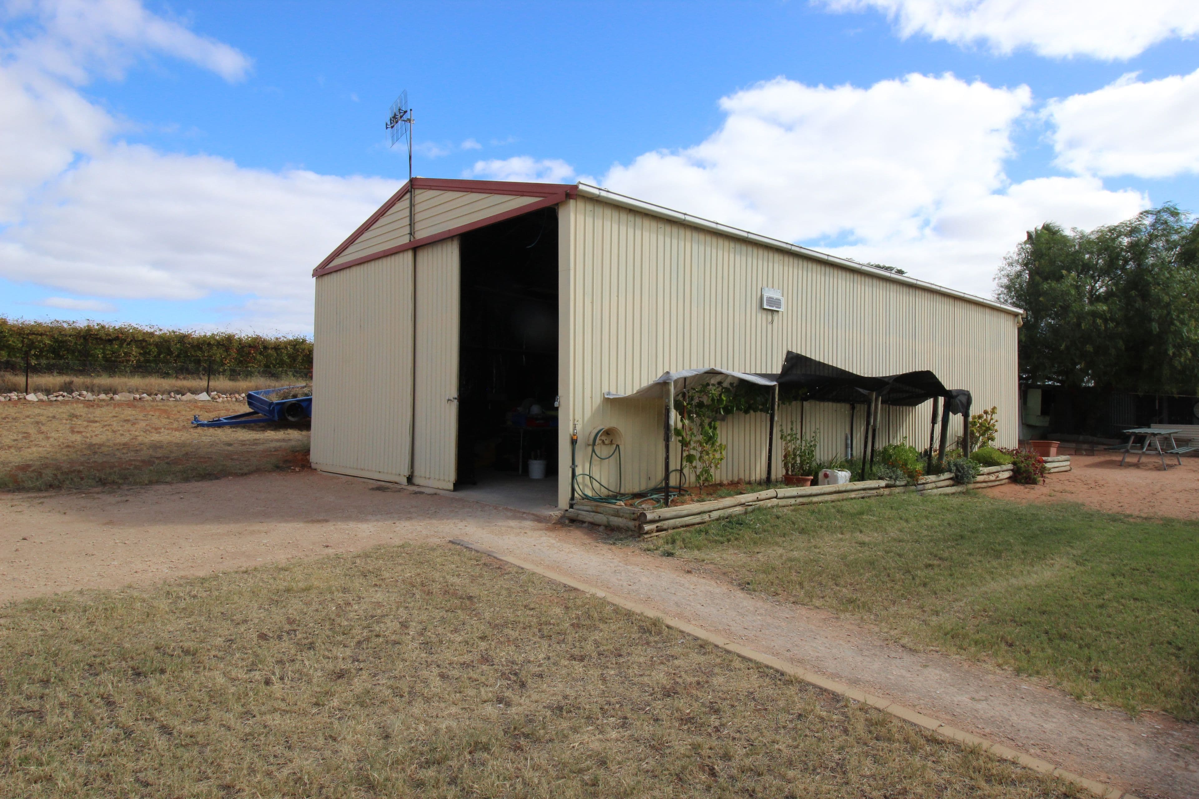 283 Playford Road, Waikerie SA 5330, Waikerie - Thumbnail 8