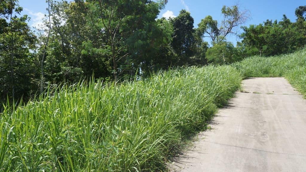 Lot 16 Beth Court, CANNONVALE QLD 4802, Cannonvale - Thumbnail 3