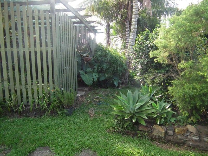 25 La Frantz Drive, MARYBOROUGH QLD 4650, Maryborough - Thumbnail 6