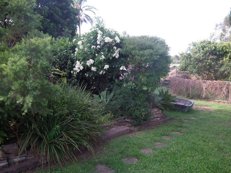 25 La Frantz Drive, MARYBOROUGH QLD 4650, Maryborough - Thumbnail 7