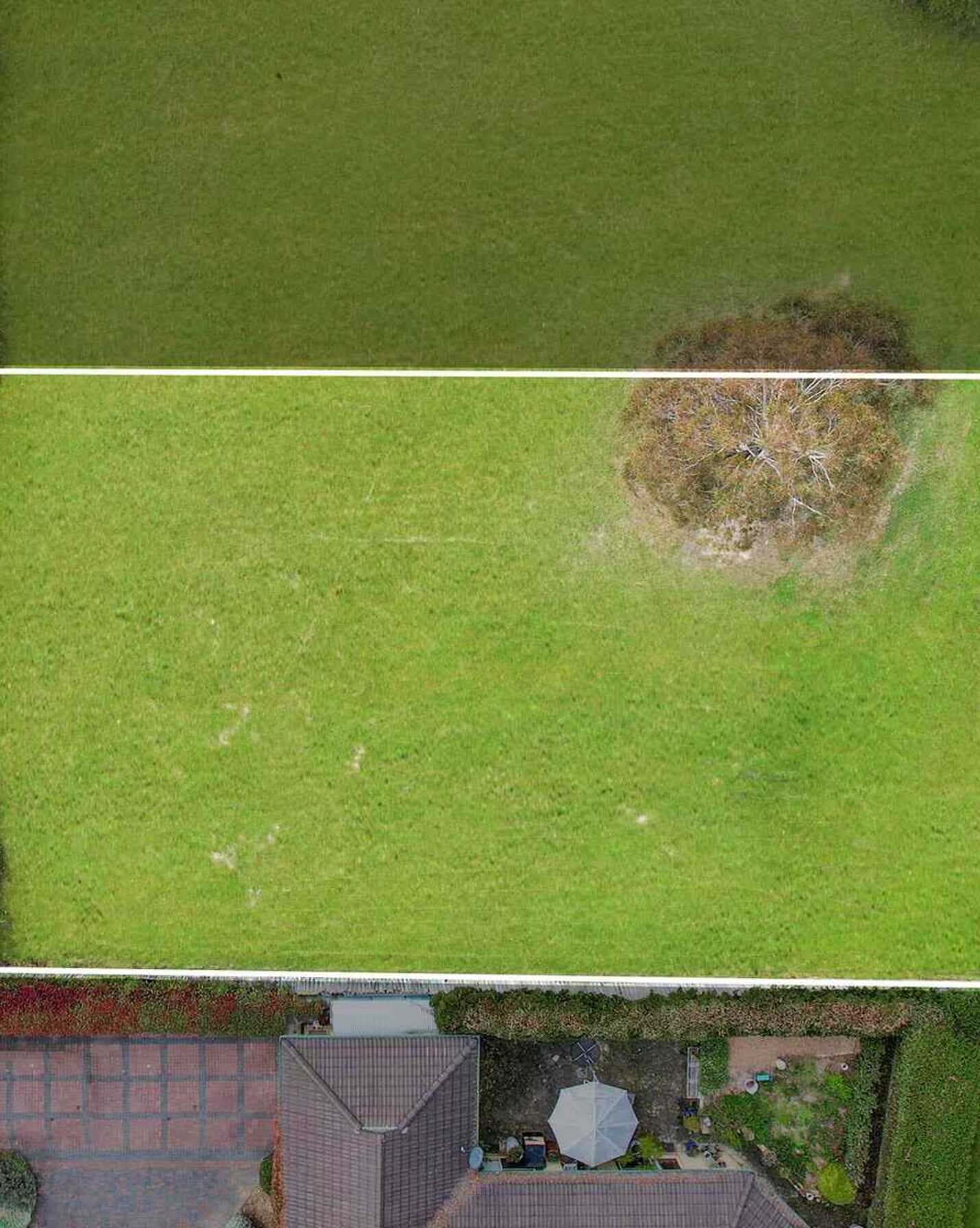 56 Watson Road Moss Vale, Vale - Thumbnail 2