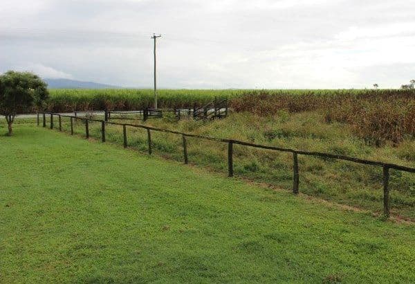 106 Tedland, Koumala QLD 4738, Koumala - Thumbnail 4