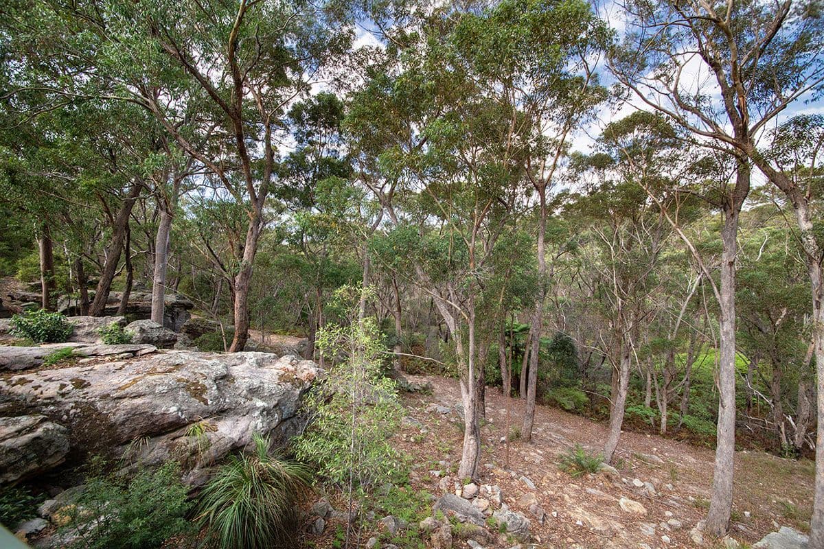 57 Jervis Drive, Illawong NSW 2234, Illawong - Thumbnail 7