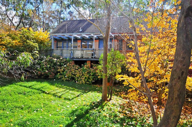 117 Grand Canyon Road, MEDLOW BATH NSW 2780, Medlow Bath - Thumbnail 6