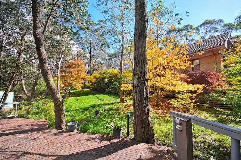 117 Grand Canyon Road, MEDLOW BATH NSW 2780, Medlow Bath - Thumbnail 8