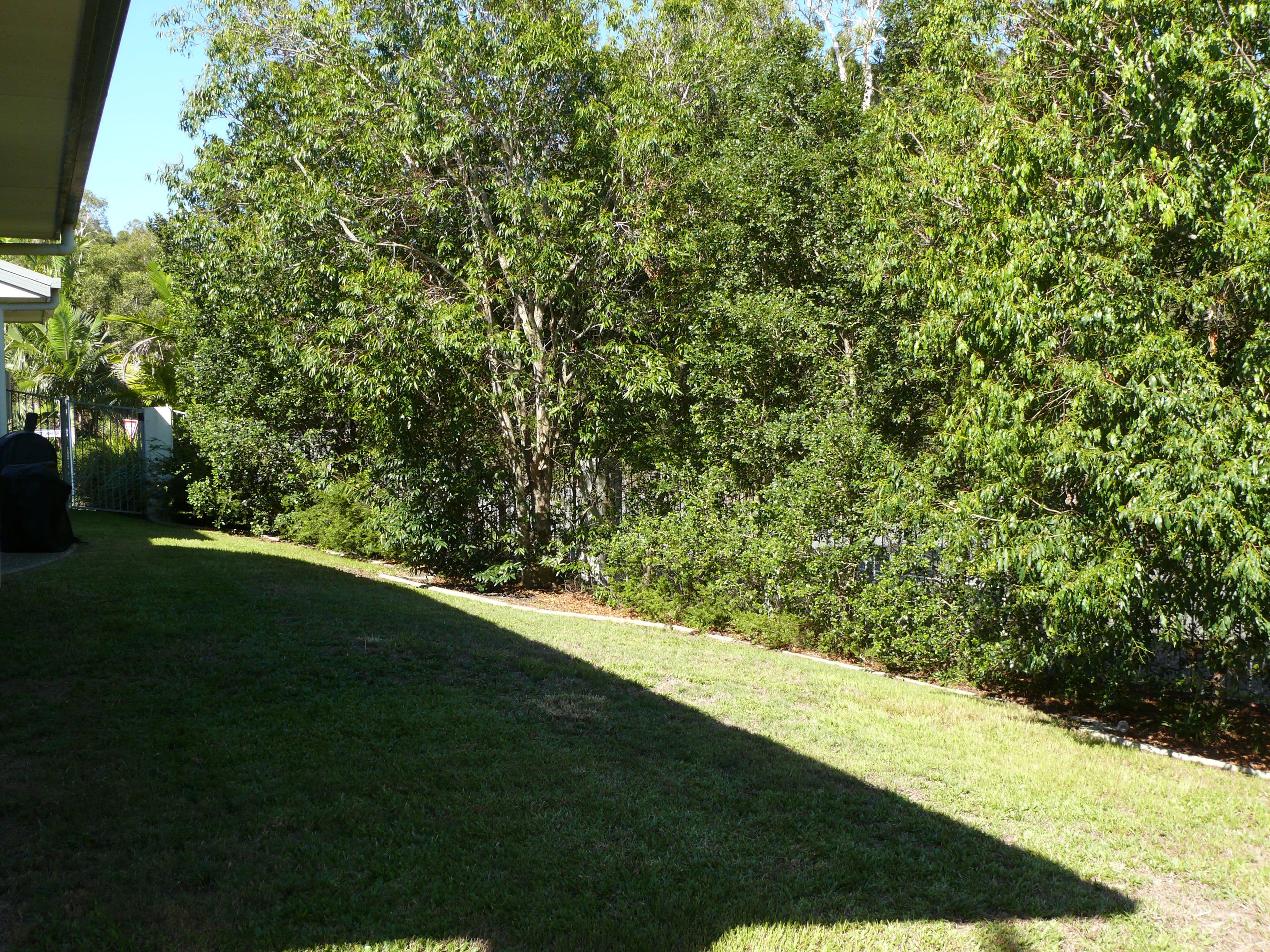 2 First Light Court, Coomera Waters QLD 4209, Coomera Waters - Thumbnail 6