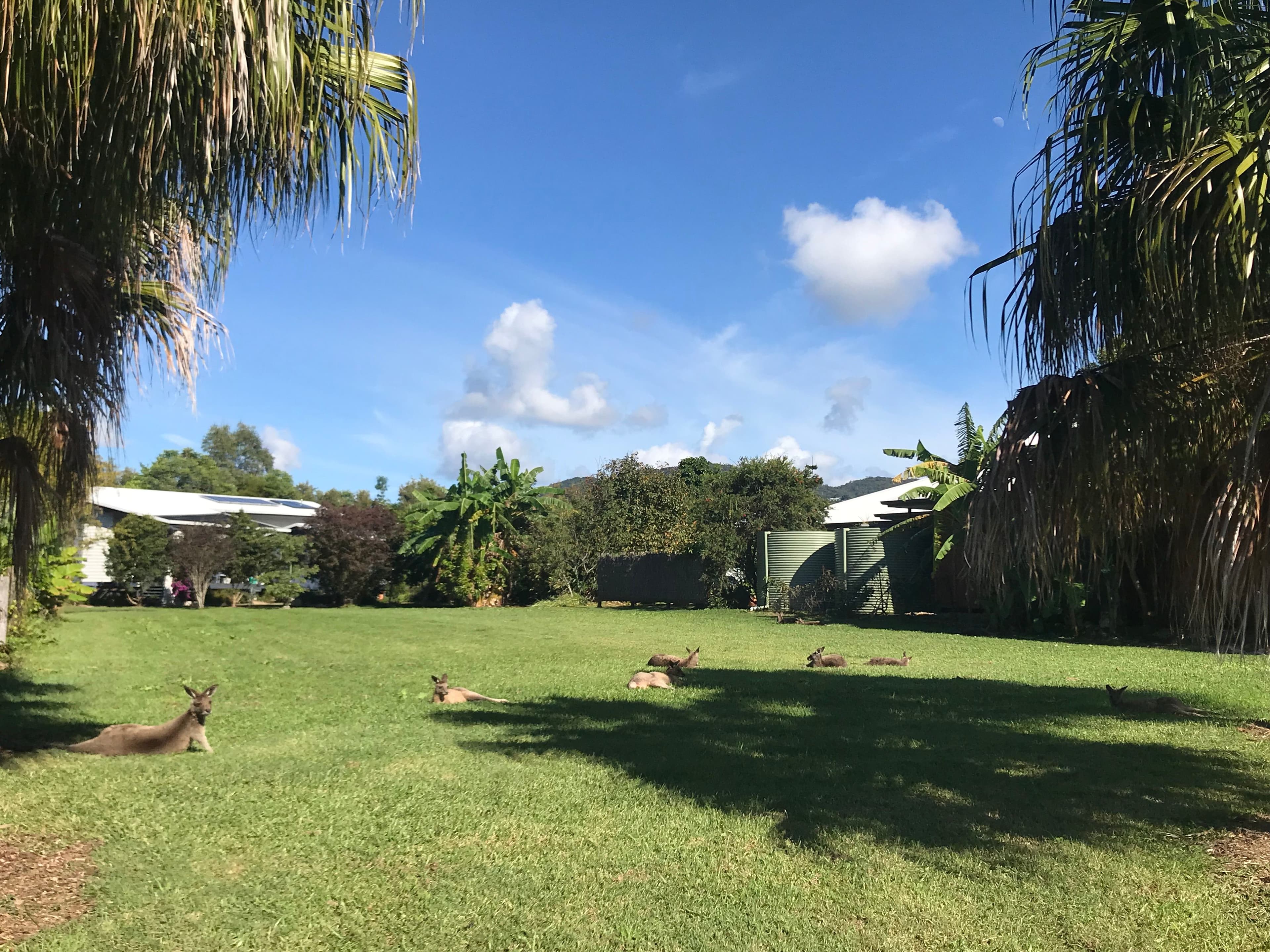 19 Village Way, Currumbin Valley QLD 4223, Currumbin Valley - Image 1