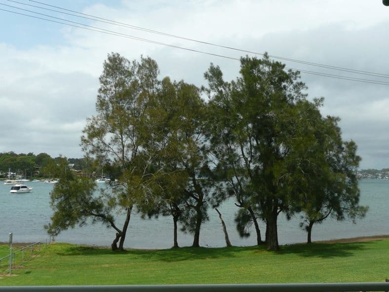 3  Boronia Street, BOLTON POINT NSW 2283, Bolton Point - Thumbnail 6
