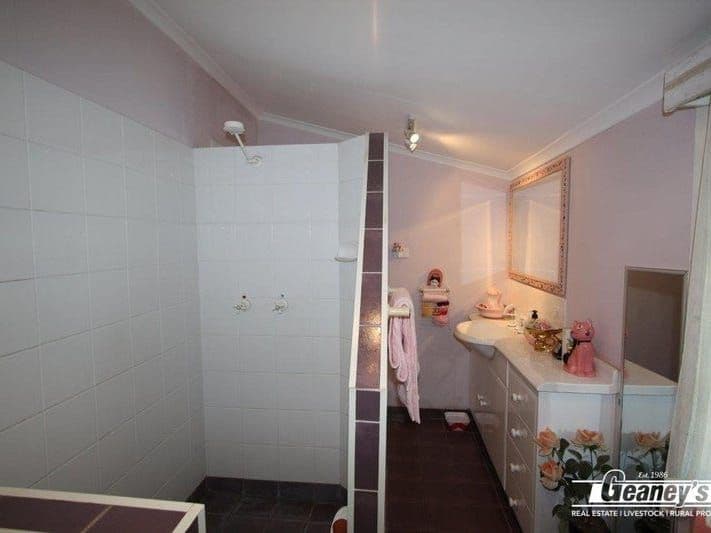 98 King Street, CHARTERS TOWERS CITY QLD 4820, Charters Towers City - Thumbnail 8