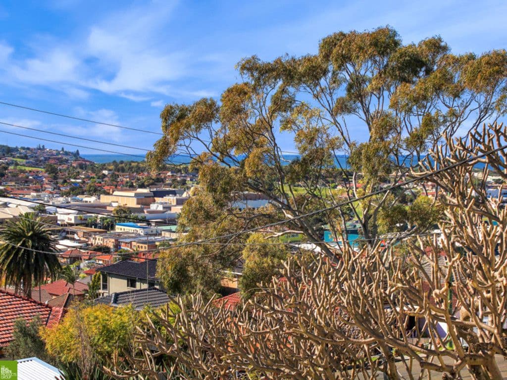 14 Second Avenue North, Warrawong NSW 2502, Warrawong - Thumbnail 2