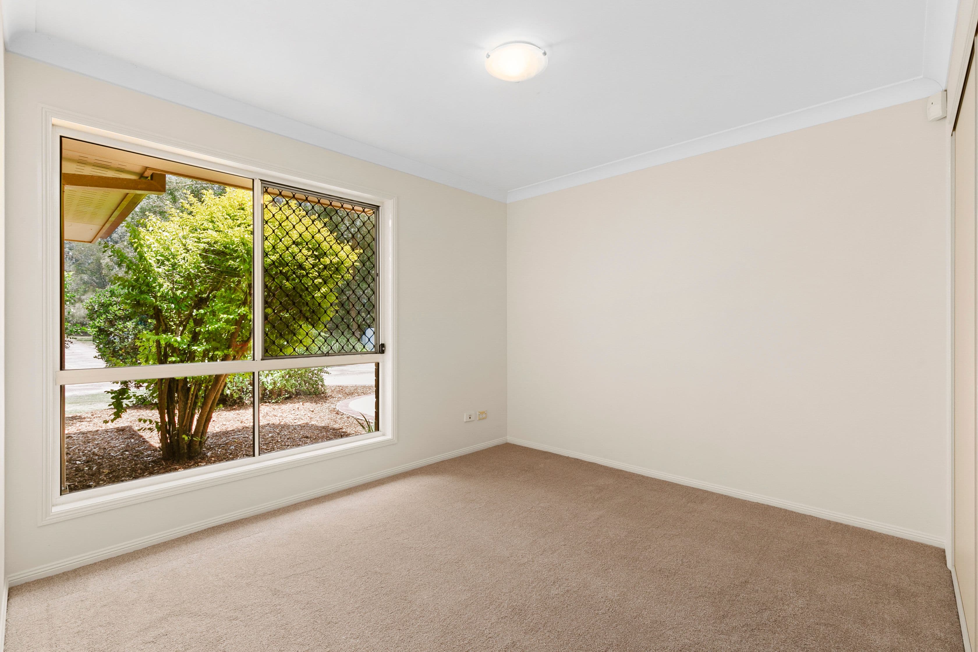 3 Parkgrove Street, Birkdale QLD 4159, Birkdale - Thumbnail 7