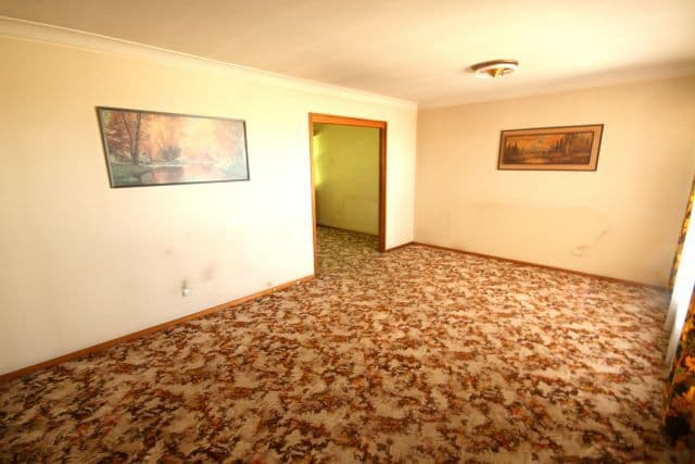 119 Amaroo Avenue, GEORGES HALL NSW 2198, Georges Hall - Thumbnail 2