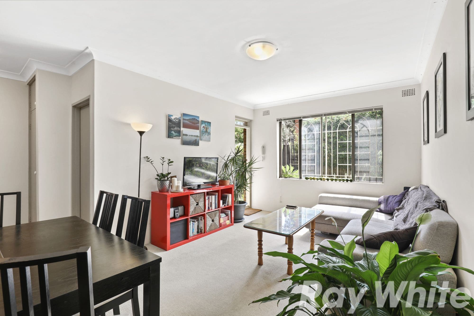 22 Bayley Street, Marrickville NSW 2204, Marrickville - Thumbnail 3