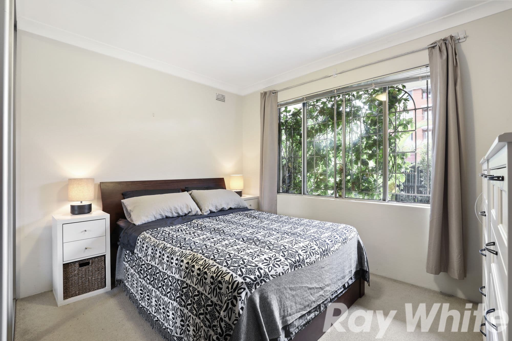 22 Bayley Street, Marrickville NSW 2204, Marrickville - Thumbnail 5