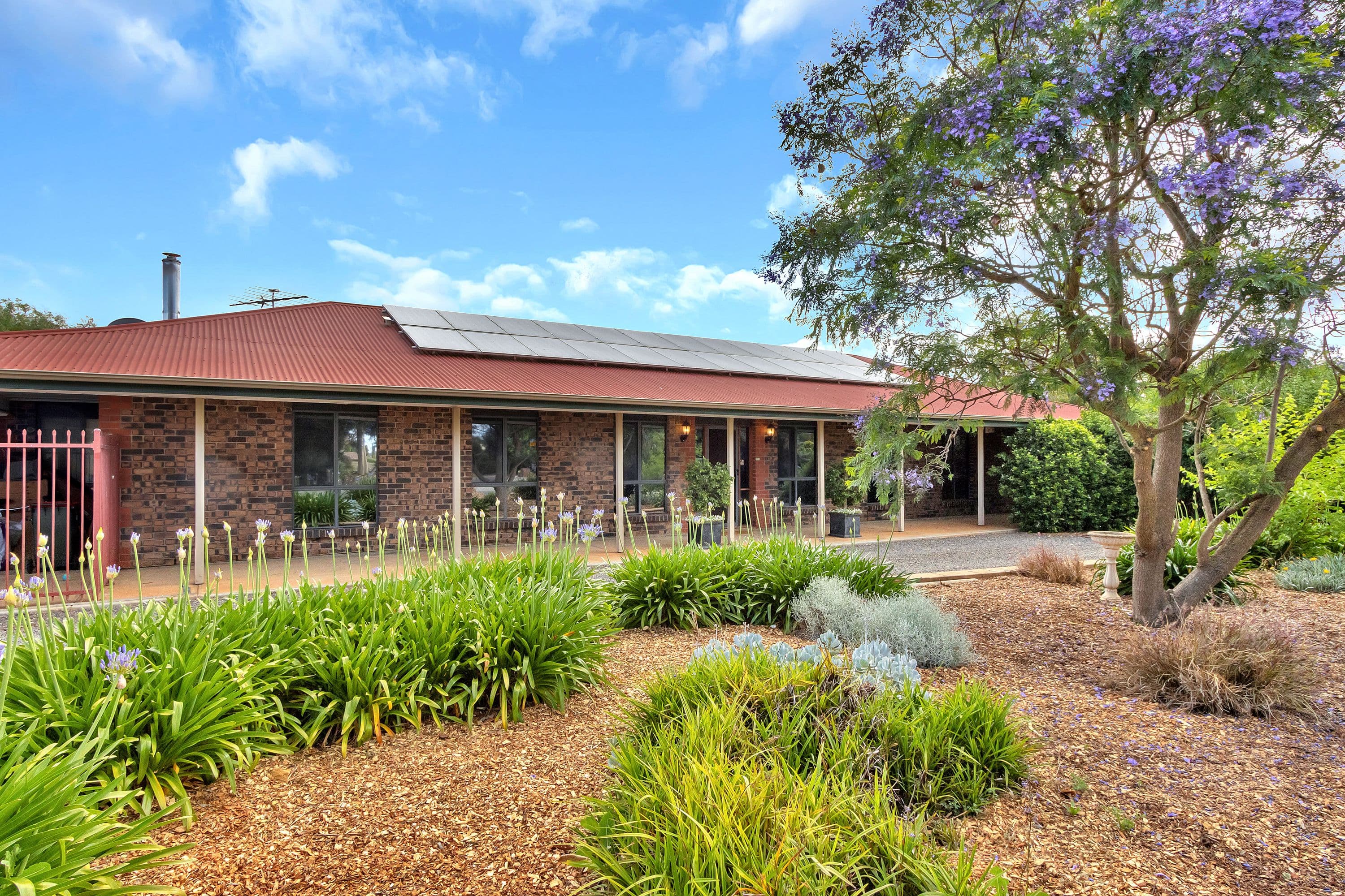 8 Higgins Road, Angle Vale SA 5117, Angle Vale - Image 1