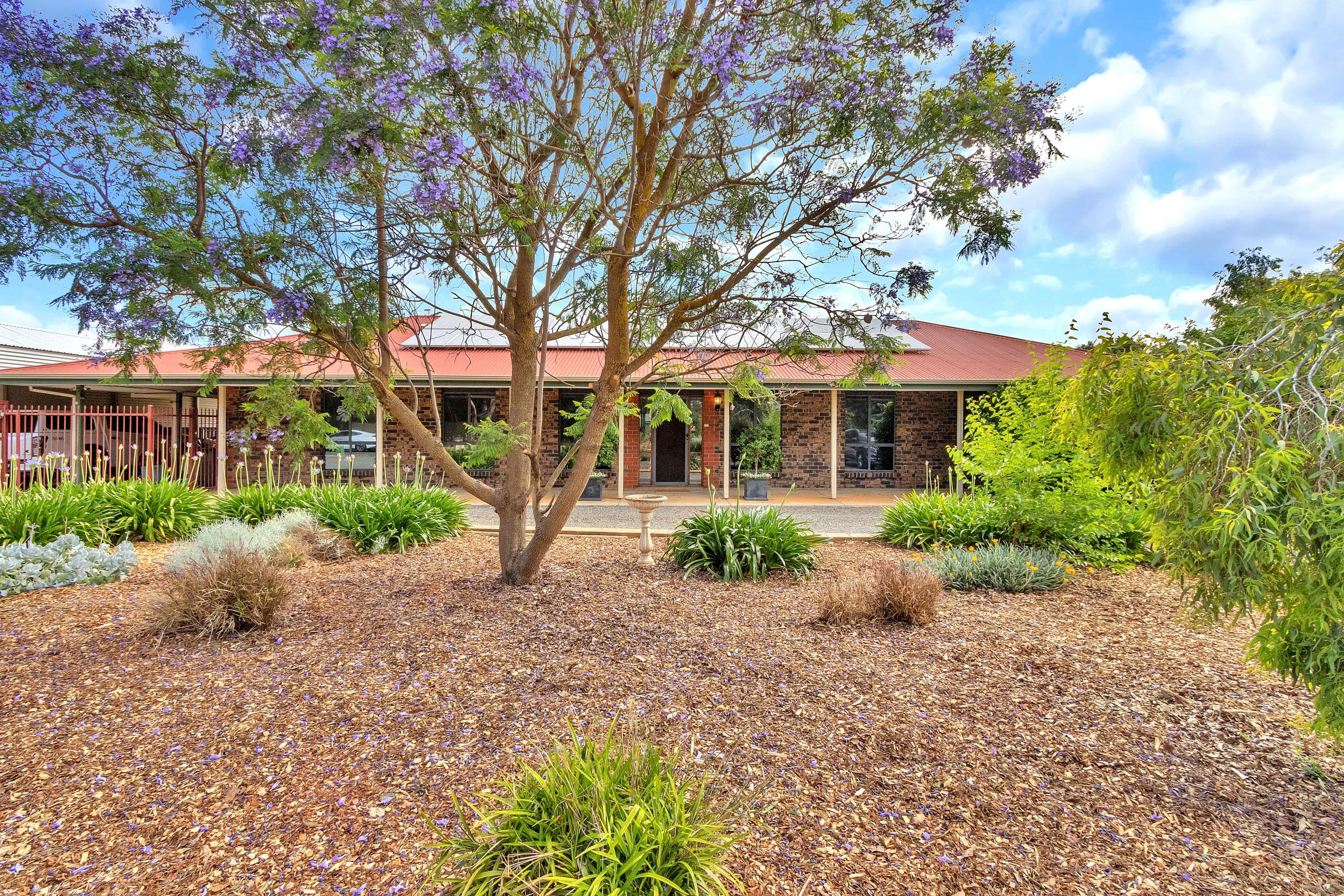 8 Higgins Road, Angle Vale SA 5117, Angle Vale - Thumbnail 2