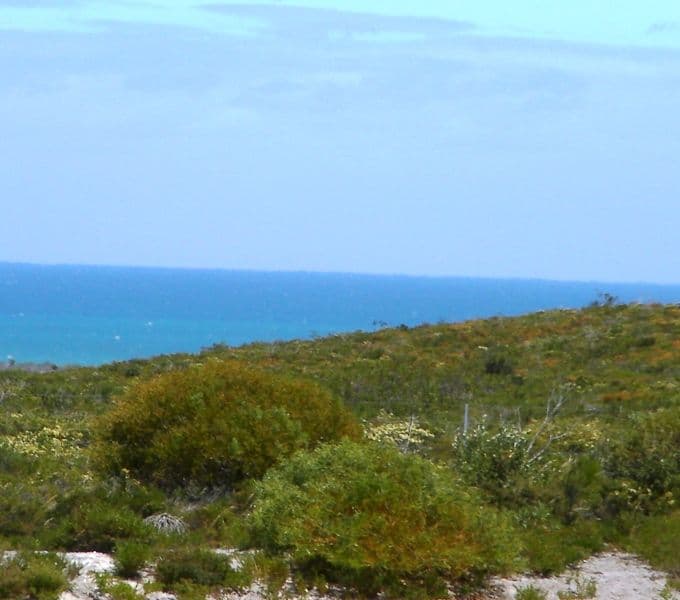 305 Pindari Place, KARAKIN WA 6044, Karakin - Thumbnail 5