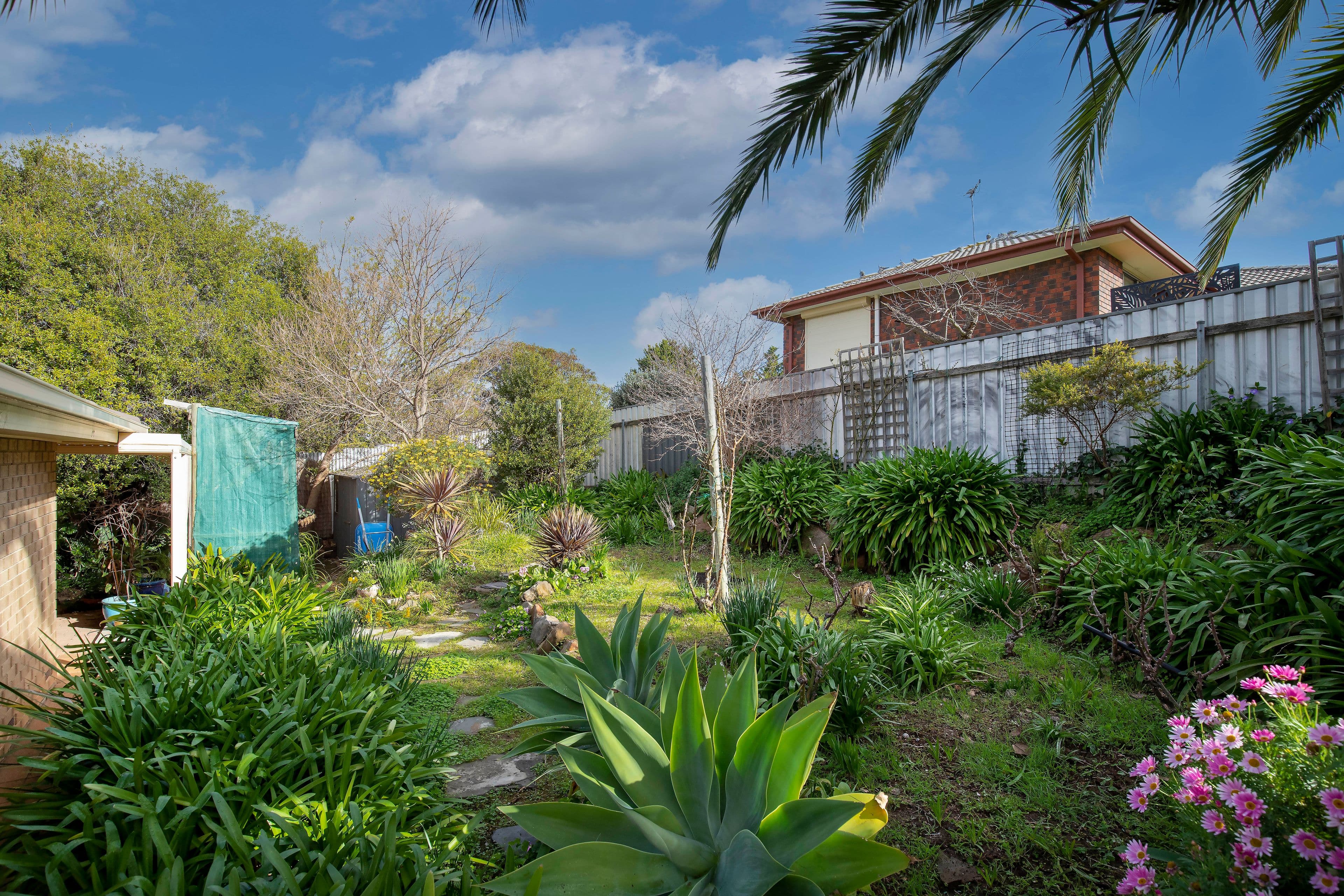 29 Heysen Drive, Sheidow Park SA 5158, Sheidow Park - Thumbnail 6