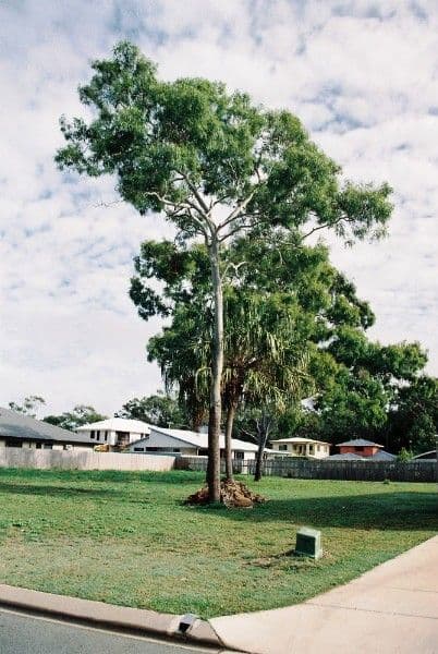 15 Turtle Place, BLACKS BEACH QLD 4740, Blacks Beach - Thumbnail 7
