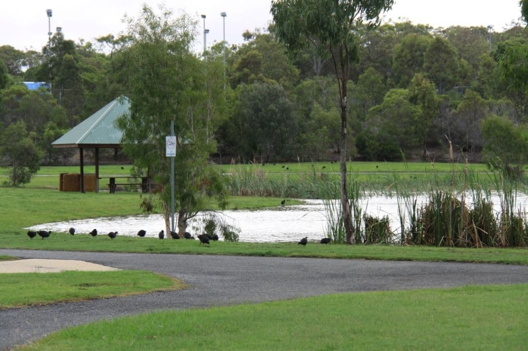 4 Stoney Court, Tannum Sands QLD 4680, Tannum Sands - Thumbnail 5