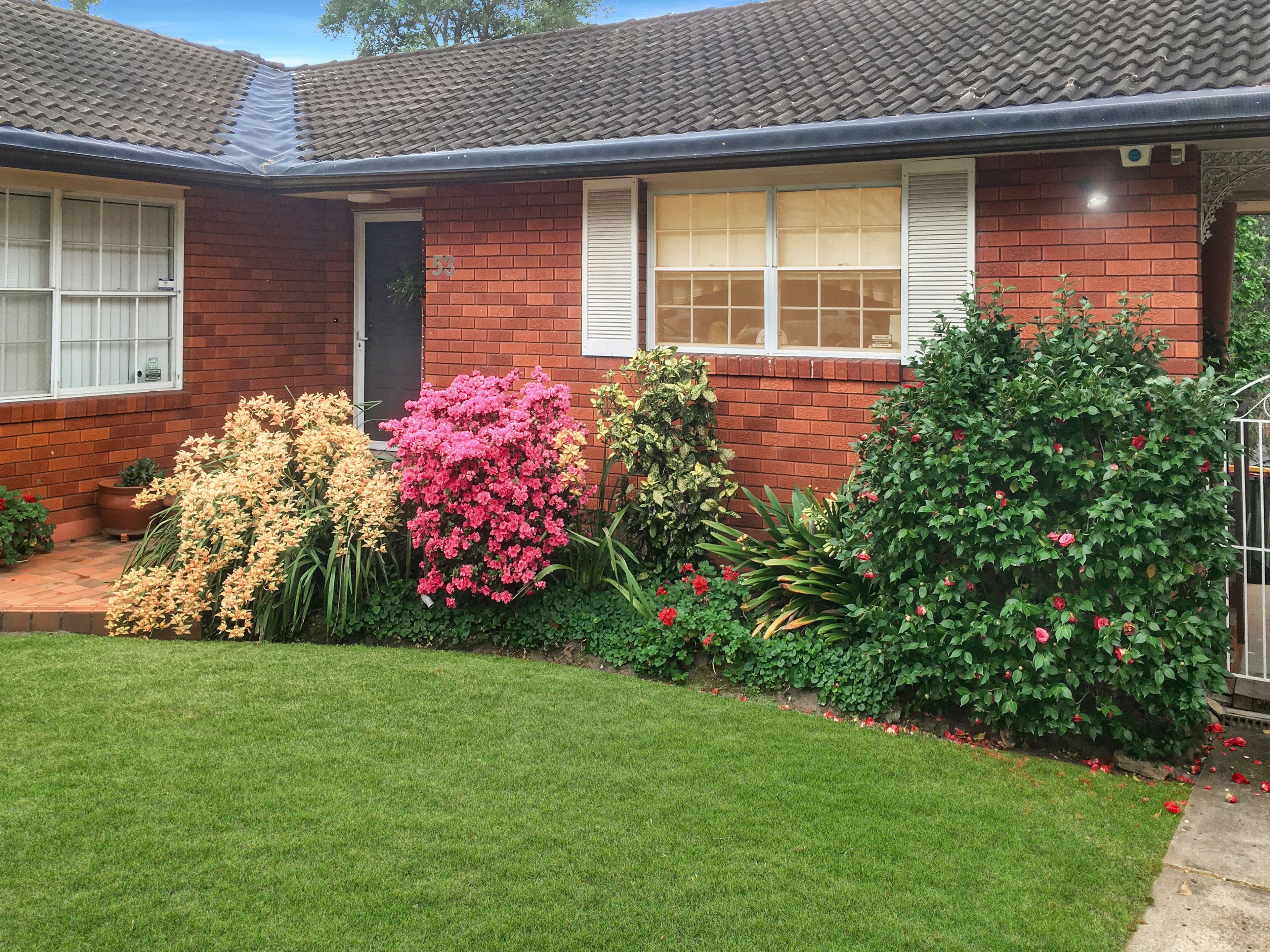 53 Munro Street, Baulkham Hills NSW 2153, Baulkham Hills - Thumbnail 2