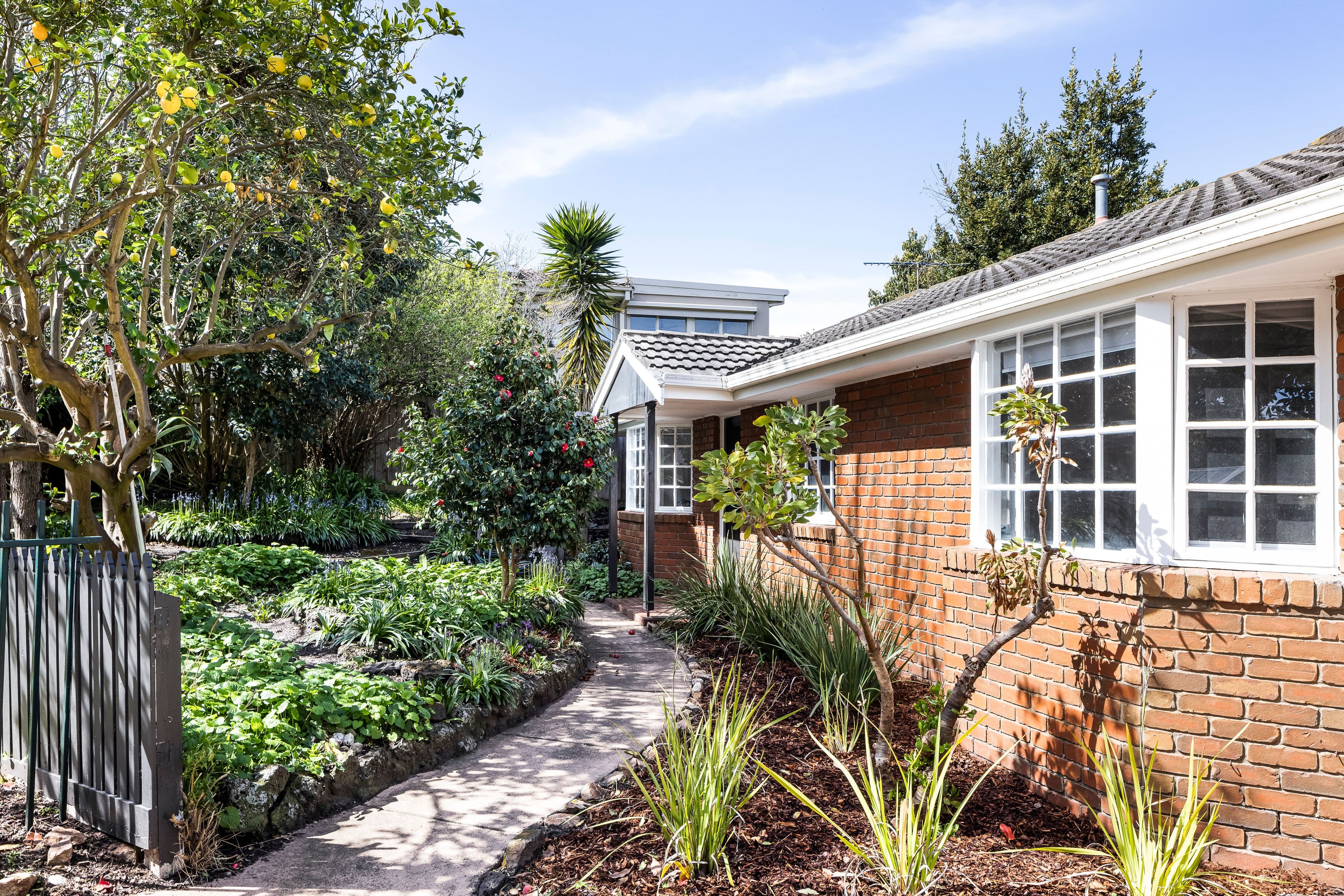 62 Williams Street, Frankston VIC 3199, Frankston - Image 1