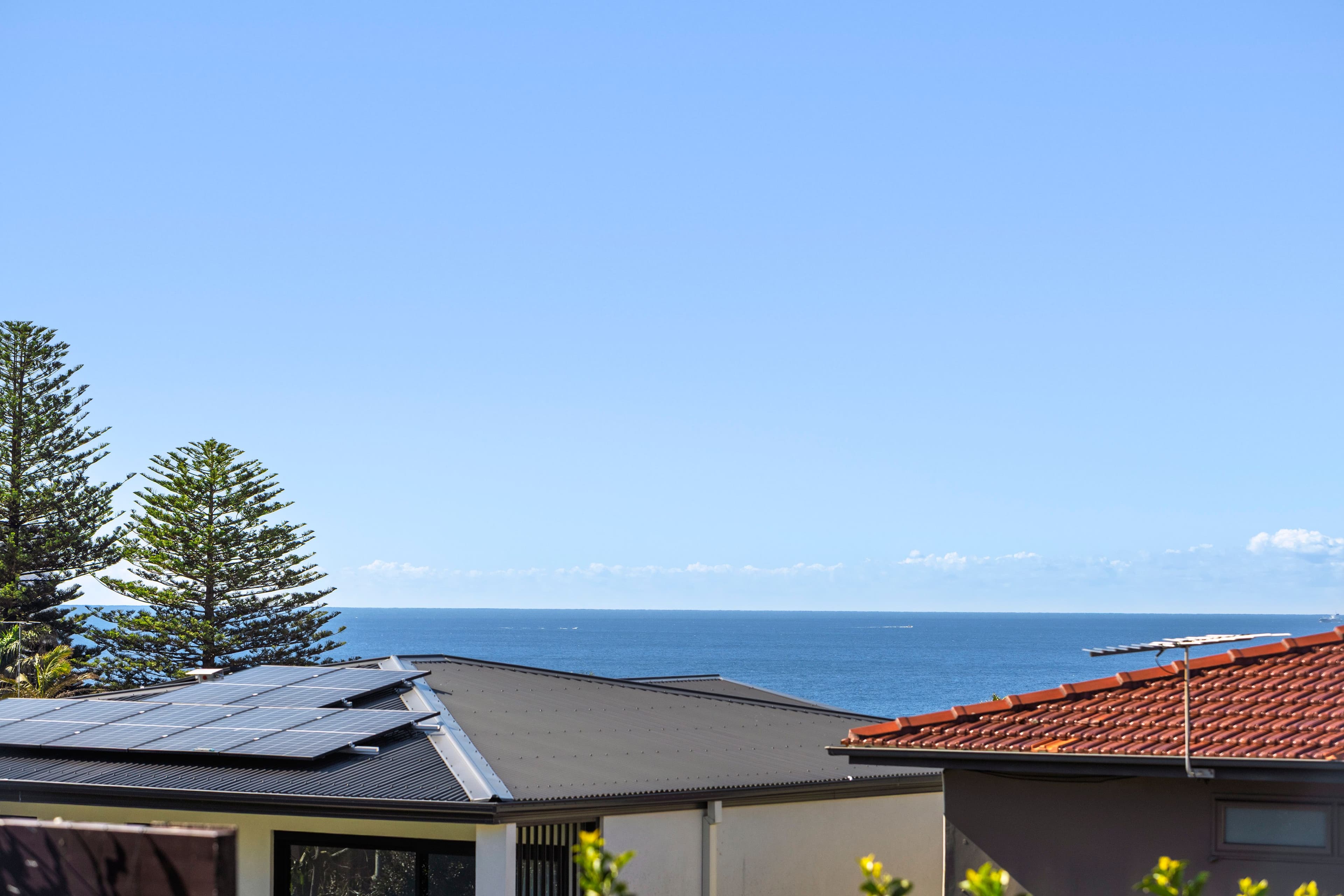 6 Elvina Street, Dover Heights NSW 2030, Dover Heights - Thumbnail 5