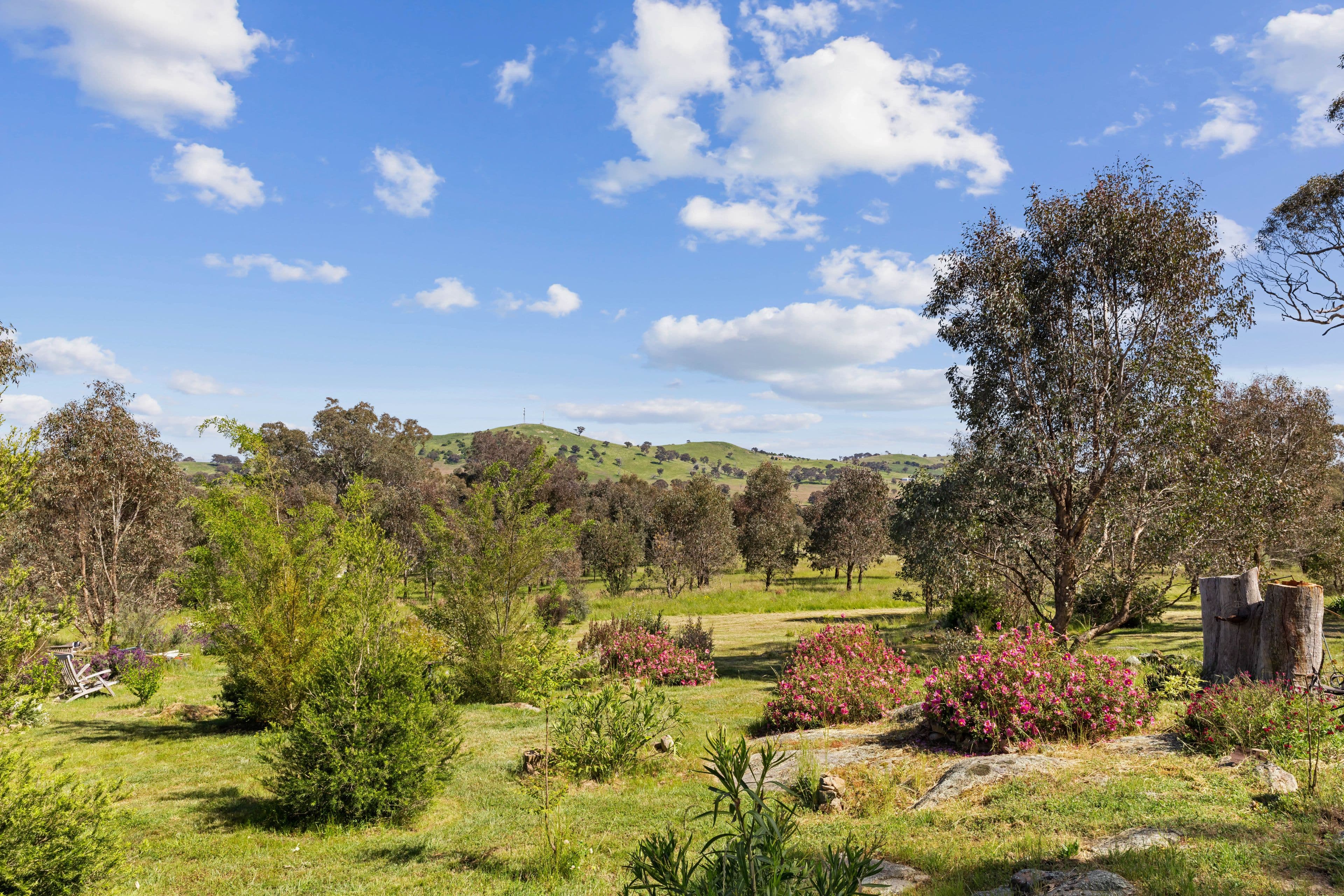 5 Red Gum Drive, Yass NSW 2582, Manton - Thumbnail 2