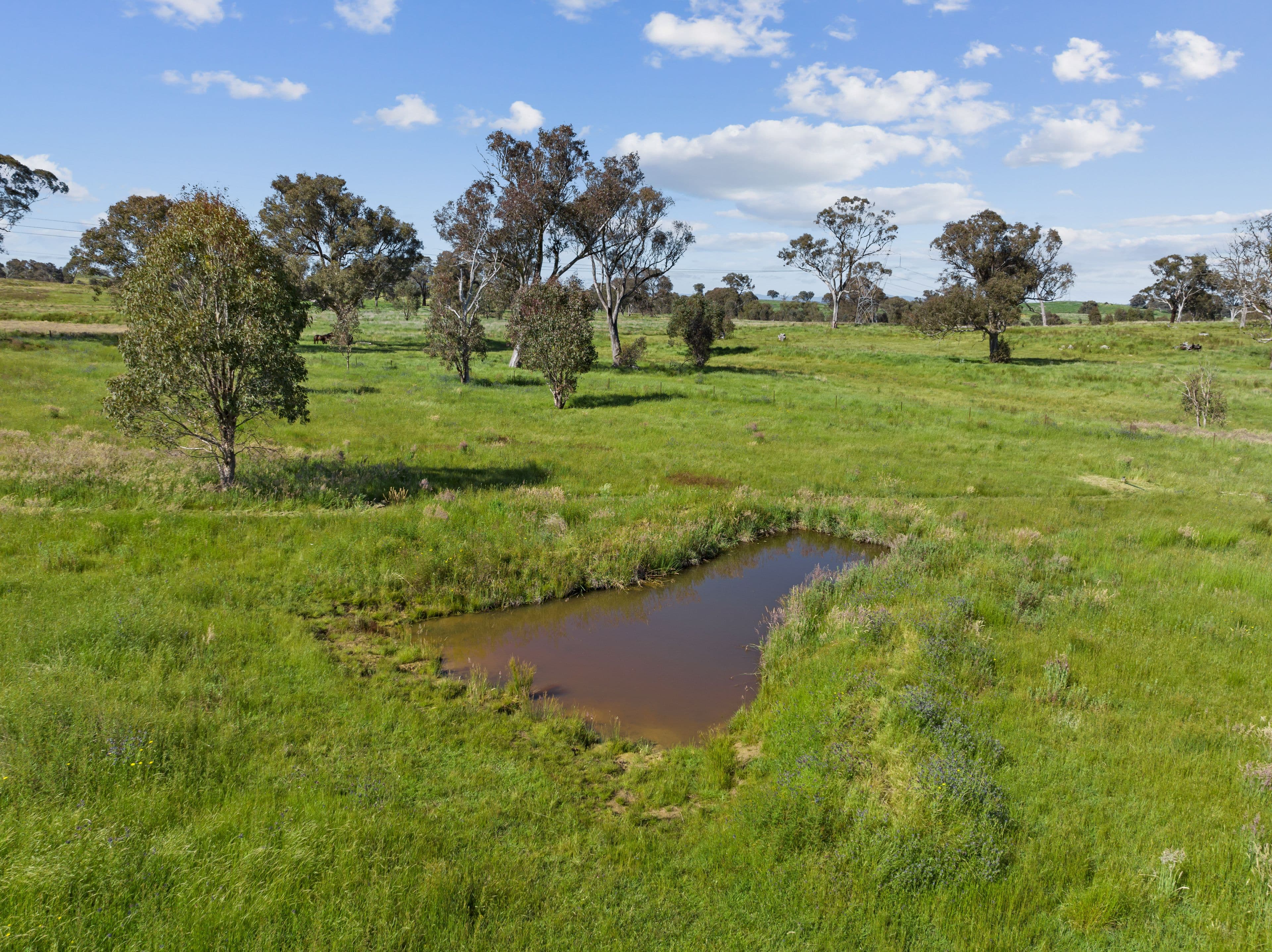 5 Red Gum Drive, Yass NSW 2582, Manton - Thumbnail 4