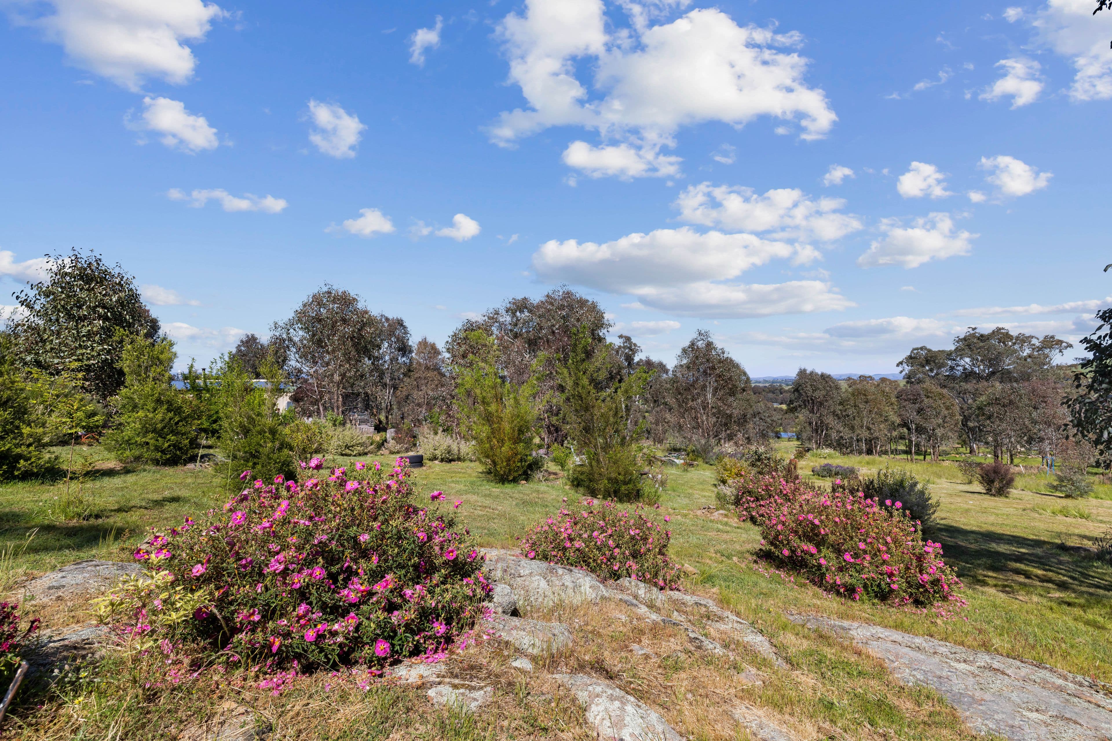 5 Red Gum Drive, Yass NSW 2582, Manton - Thumbnail 7