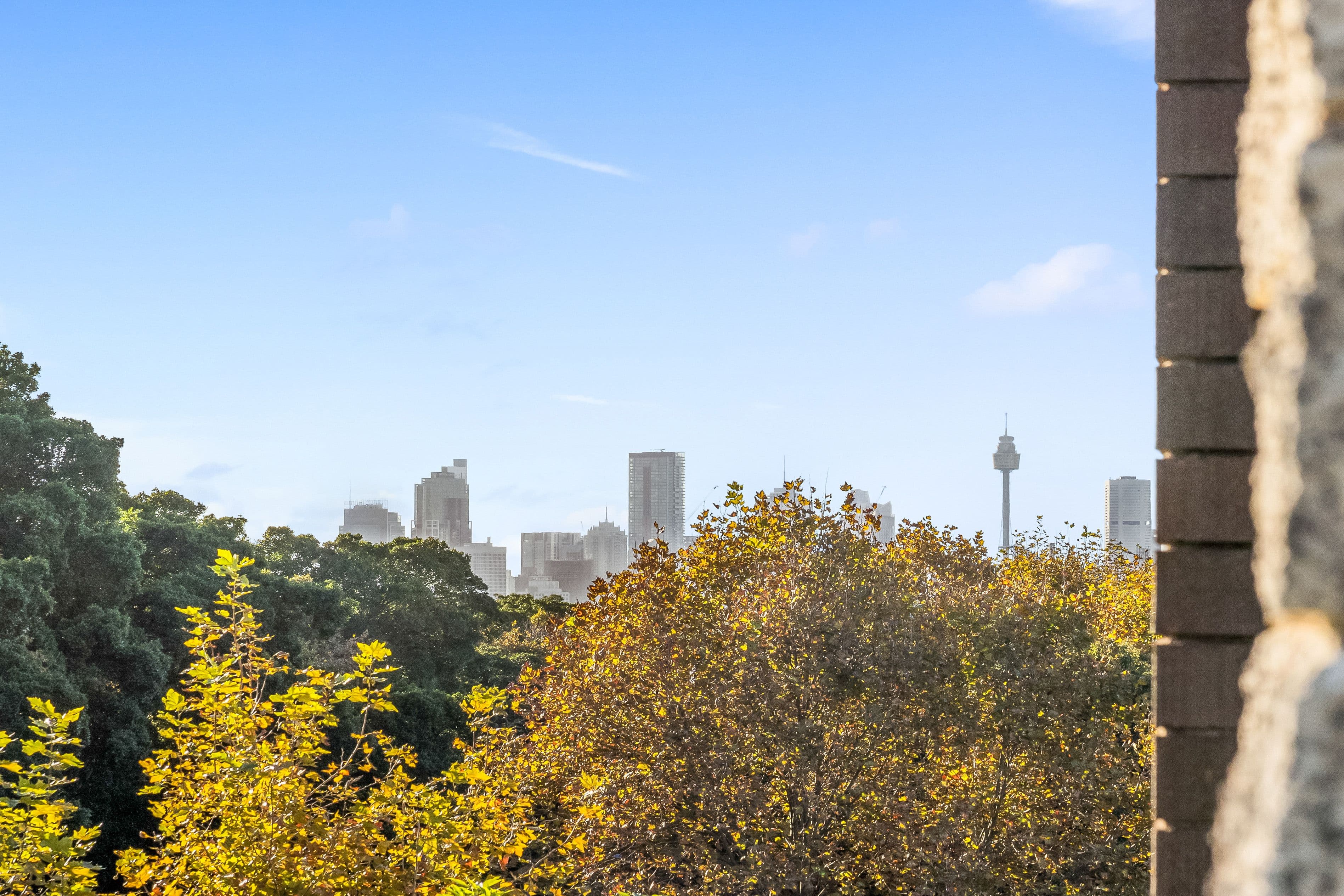 94 Alison Road, Randwick NSW 2031, Randwick - Thumbnail 2