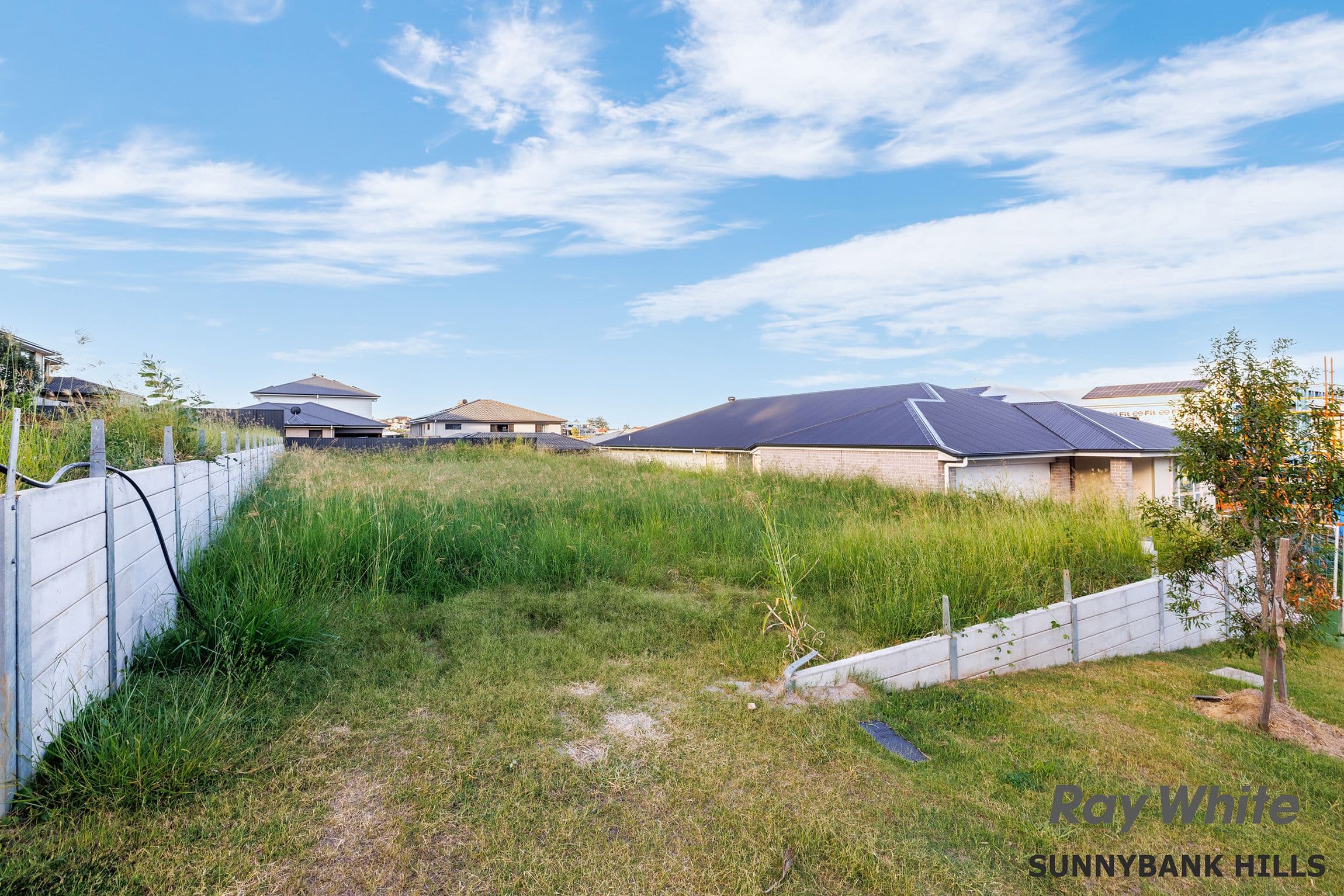 7 Suffolk Court, Underwood QLD 4119, Underwood - Thumbnail 6
