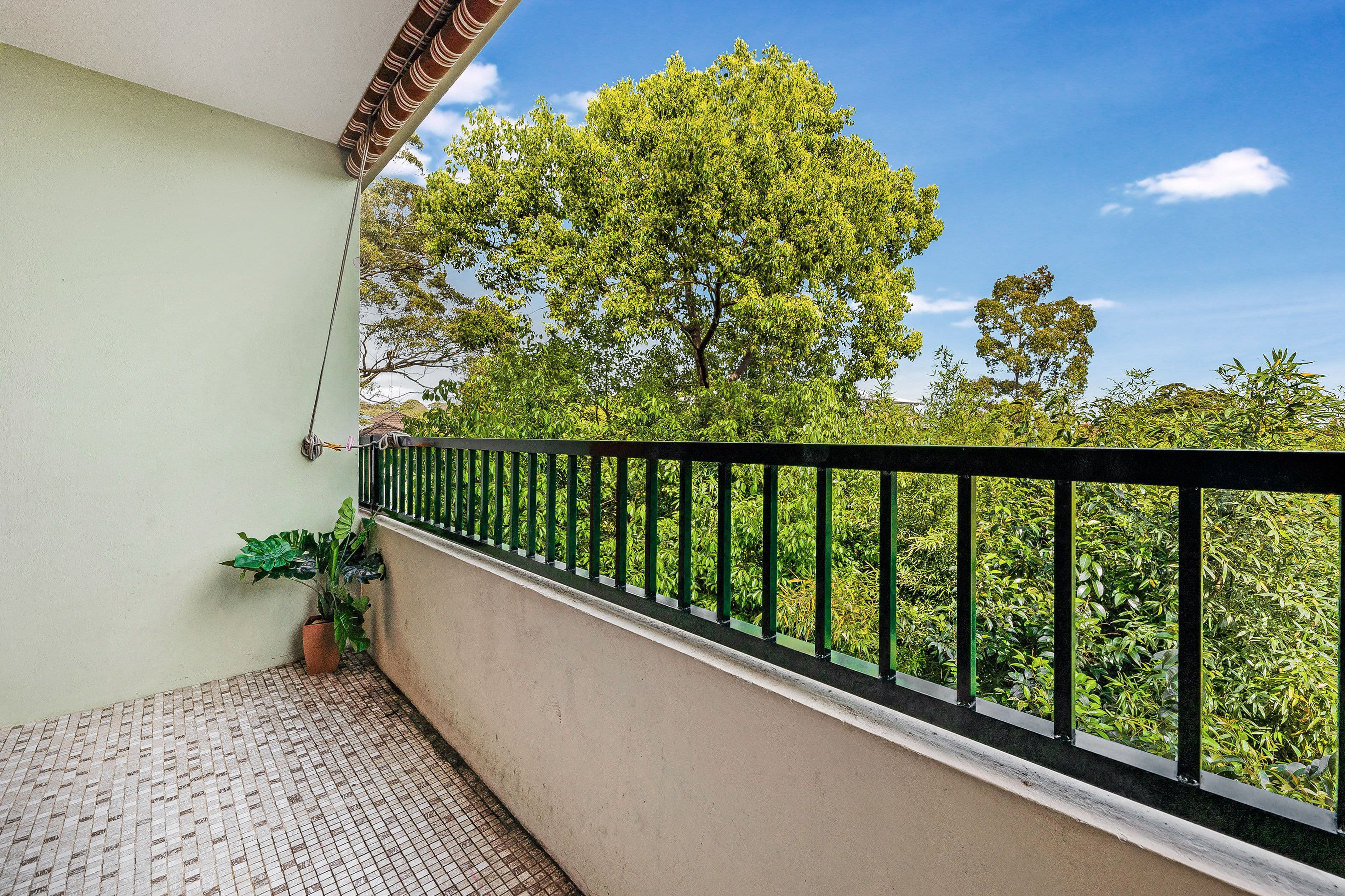 17 Thurlow Street, Riverwood NSW 2210, Riverwood - Thumbnail 6