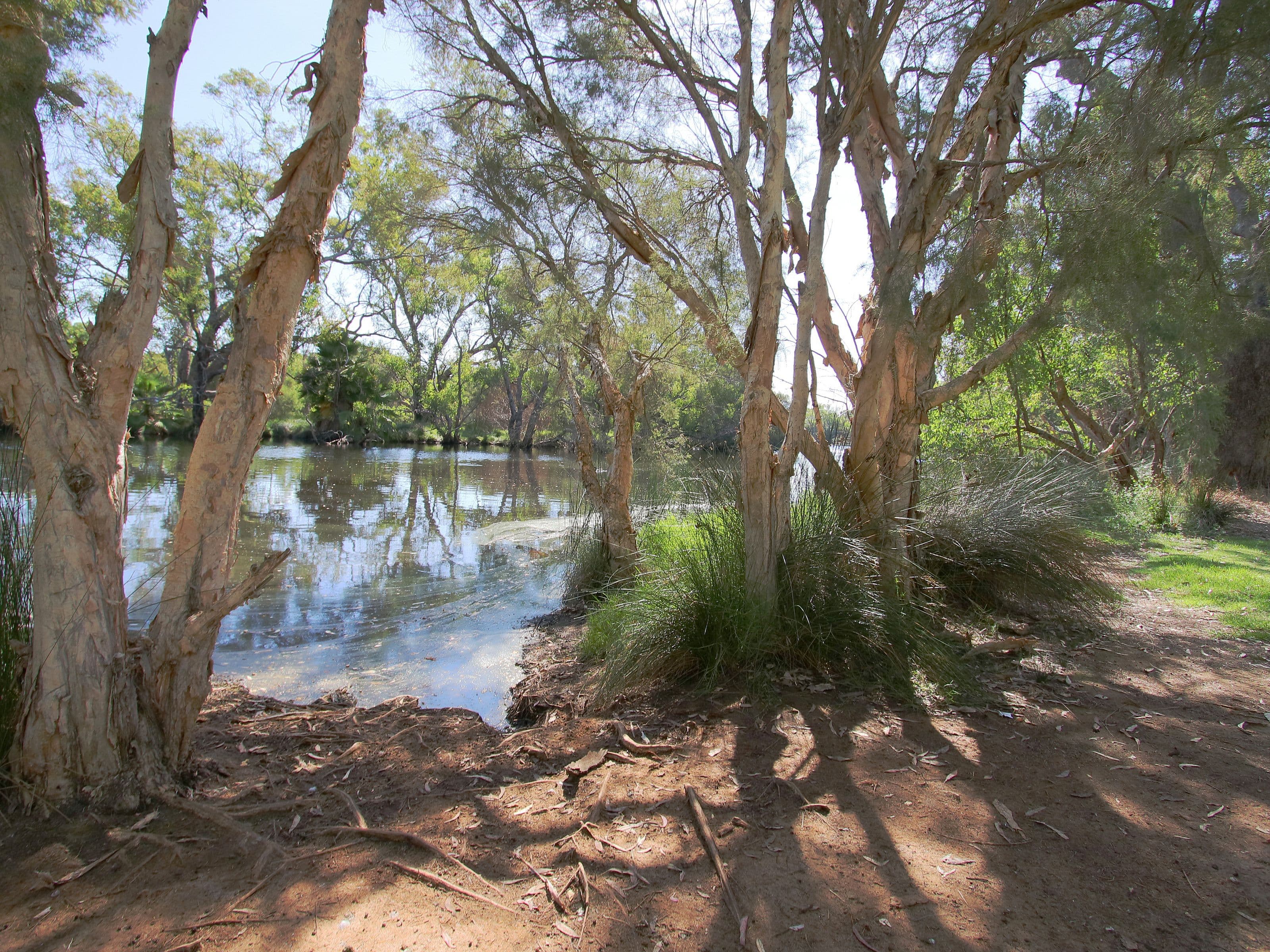 54A & B Marriamup Street, Cannington WA 6107, Cannington - Image 1