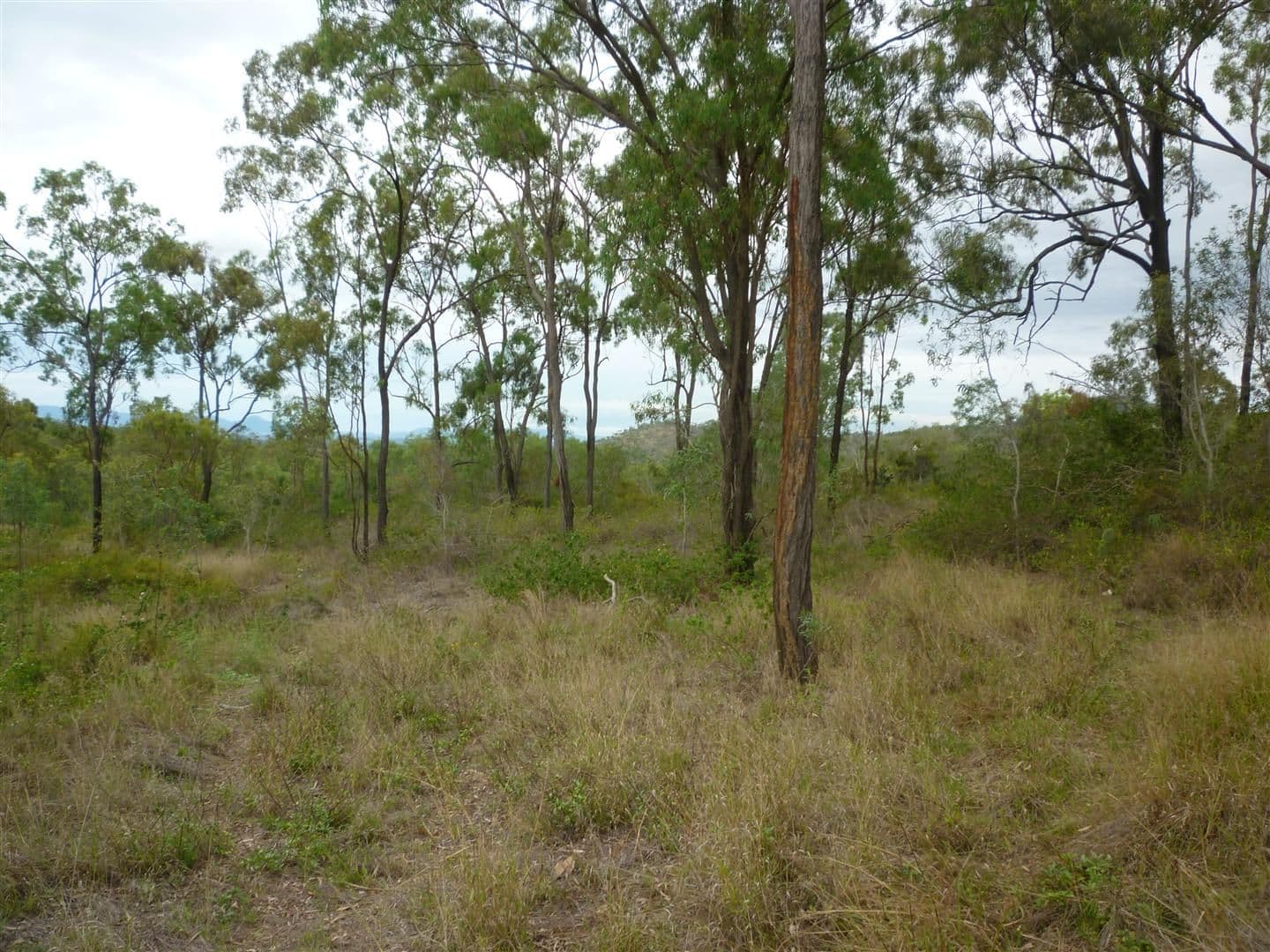 151 Beverley Road, Rosanna, Rosanna - Thumbnail 2