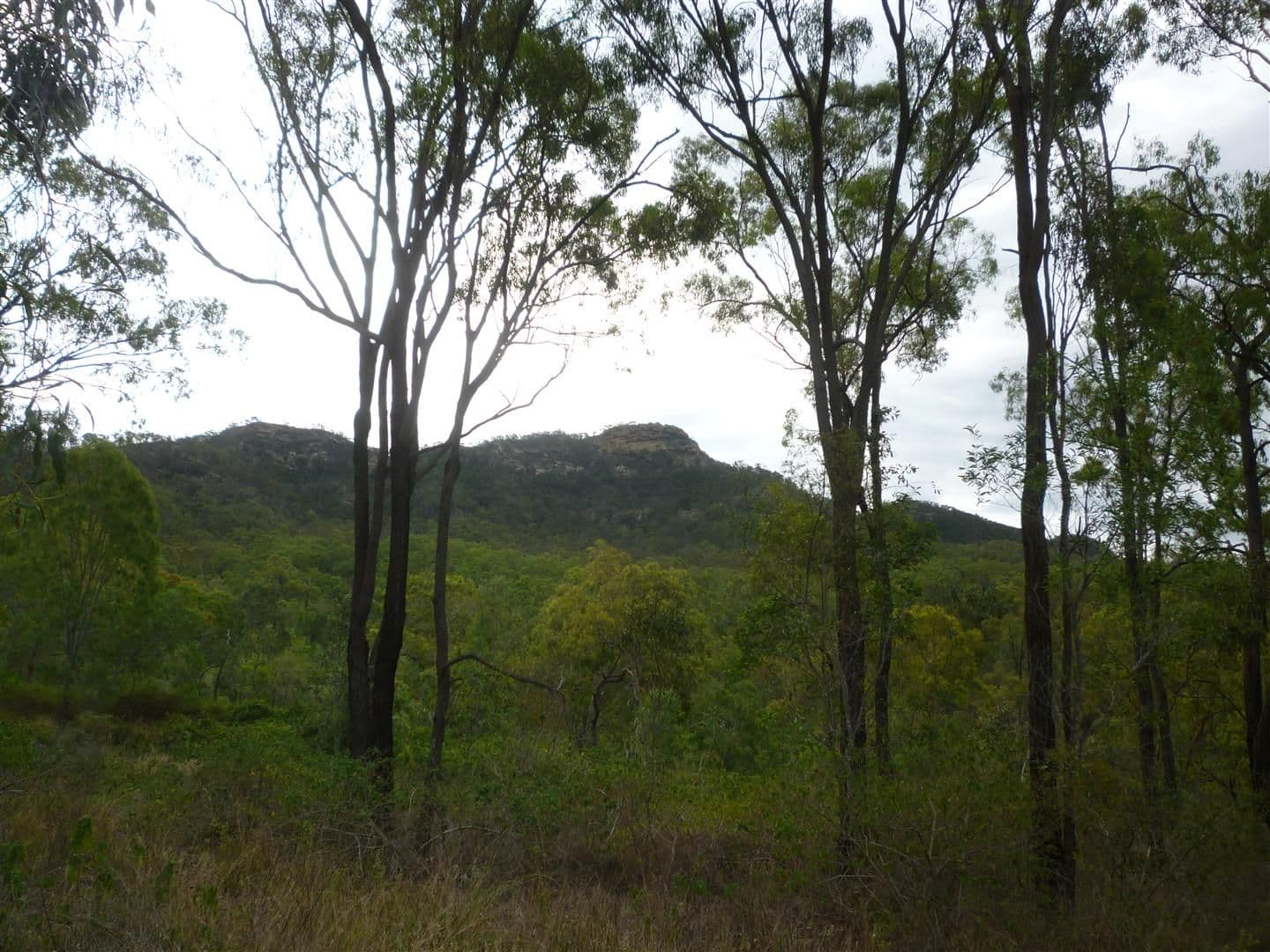 151 Beverley Road, Rosanna, Rosanna - Thumbnail 3