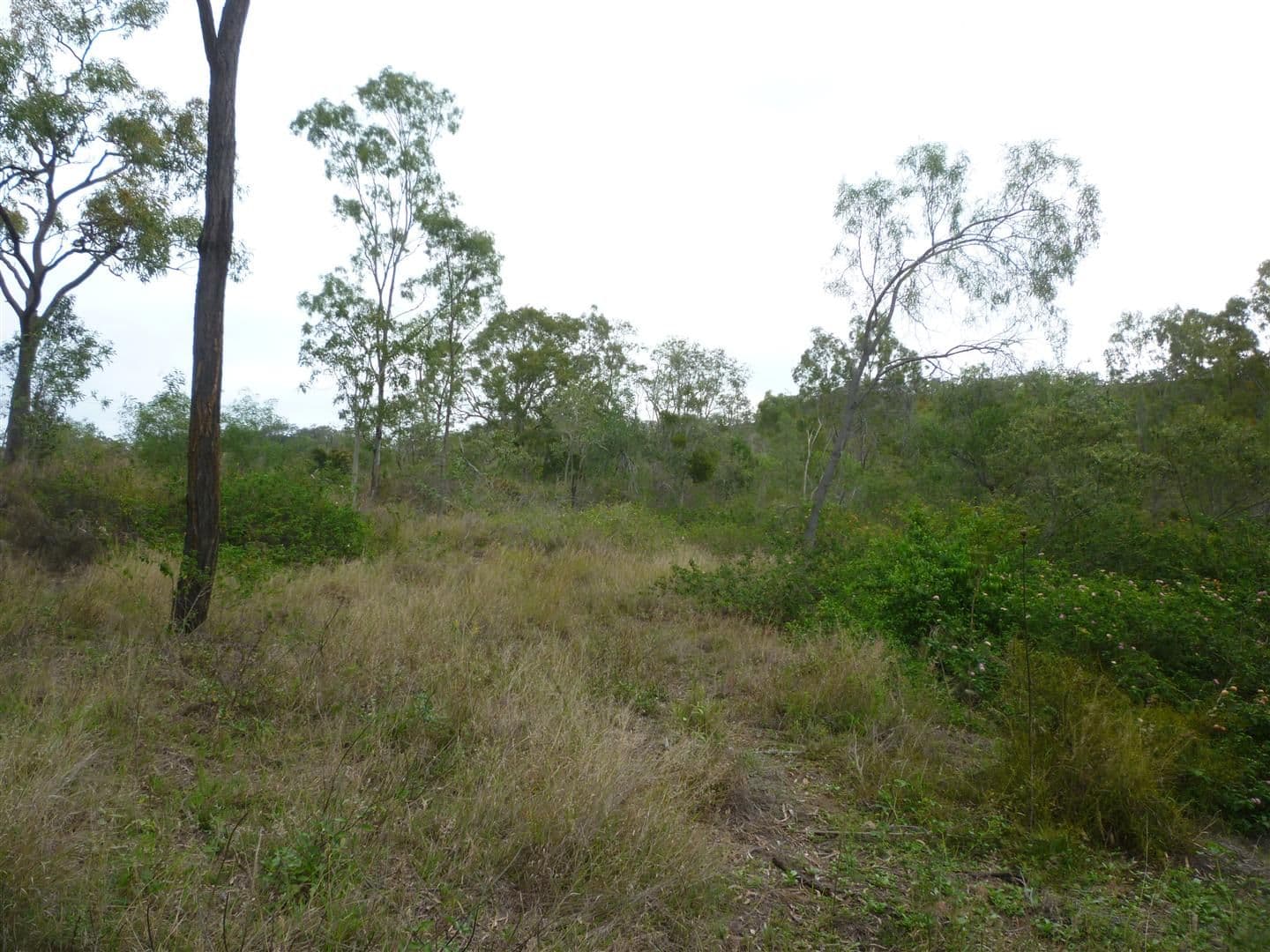 151 Beverley Road, Rosanna, Rosanna - Thumbnail 5