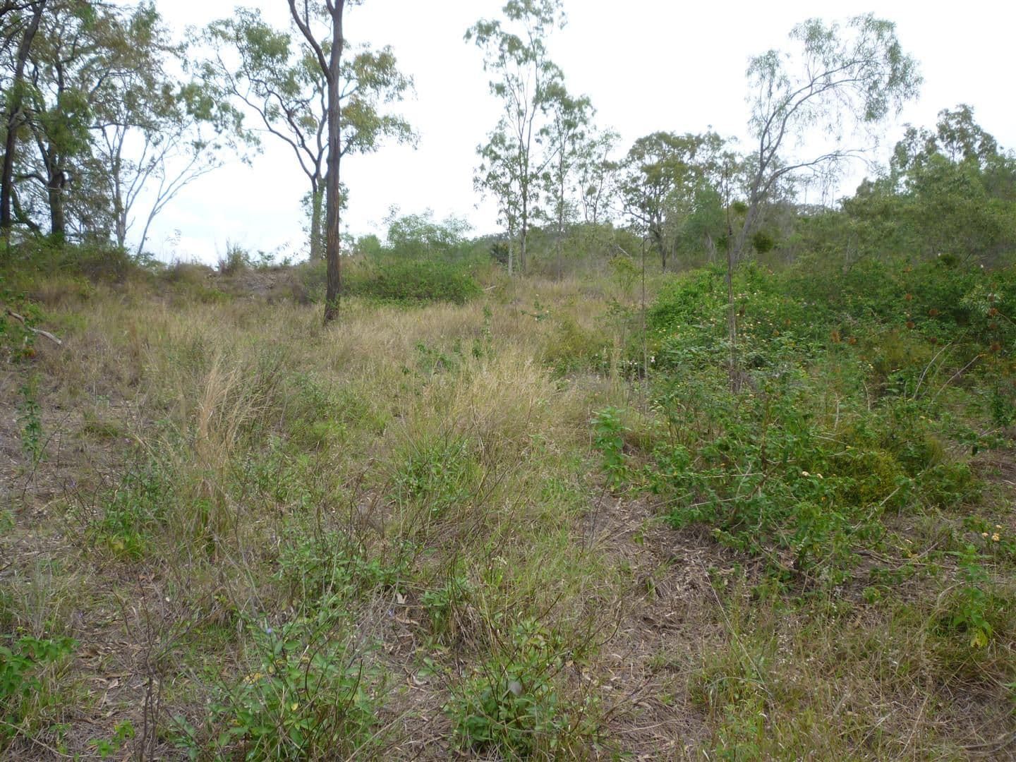 151 Beverley Road, Rosanna, Rosanna - Thumbnail 6